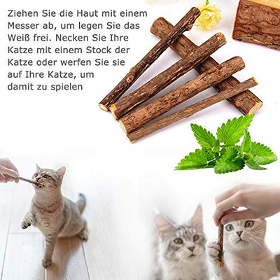 AILUKI 31 Stück Katzenspielzeug Set mit Katzentunnel Jingle Bell Katzen Spielzeug Variety Pack für Kitty