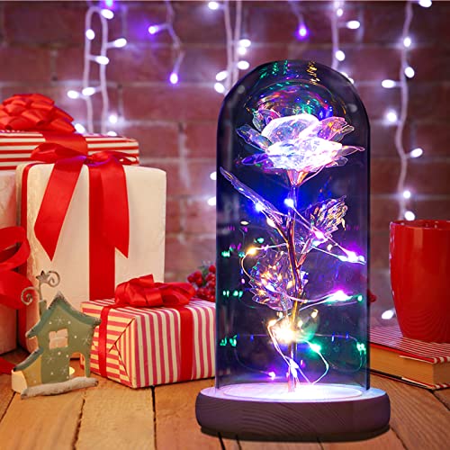 QUNPON Geschenke für Frauen Ewige Rose im Glas Die Schöne und das Biest Rose in Glaskuppel mit LED-Lichter Künstliche Blumen Rose Geschenke für Weihnachten Geburtstag Mama Freundin Oma