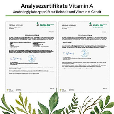 Vitamin A Tropfen hochdosiert - 50ml (1700 Tropfen) - Echtes Vitamin A Ester (Retinylpalmitat) in MCT-Öl - Ohne Zusätze, laborgeprüft, vegan