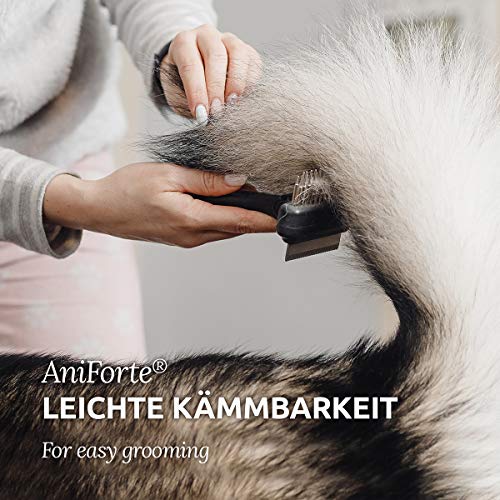 AniForte Fellharmonie Pflegespray Kokos Entfilzungsspray Katzen & Hunde 200ml - Sanfte Pflege für Fell & Haut, Fellspray, Fellpflege Spray für glänzendes Fell, Entfilzung, Kämmhilfe & Entwirrungsspray