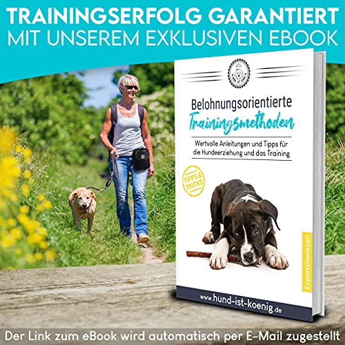 HUND IST KÖNIG® Premium Leckerlibeutel für Hunde - der Alleskönner - Robuster Futterbeutel Hunde mit viel Stauraum für das Gassigehen & Hundetraining - mit Kotbeutelspender & Trainings-Ebook