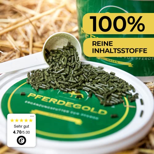 Pferdegold® Magen – Pellets zur Regulierung der Magensäure, für eine gesunde Darmflora, natürliches Ergänzungsfutter für Pferde, dopingfrei, hergestellt in Deutschland, 1,5 kg