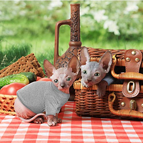 Haarlose Katzen-Weste Rollkragenpullover, atmungsaktiv, entzückende Katzenbekleidung, Pullover Kätzchen-T-Shirts mit Ärmeln, Katzen-Pyjama Jumpsuit für Sphynx, Cornish Rex, Devon Rex, Peterbalg