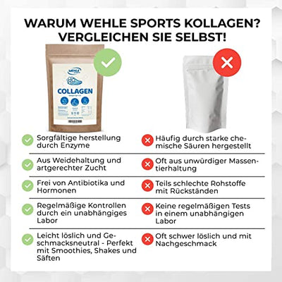 Collagen Pulver 1kg - Bioaktives Kollagen Hydrolysat Peptide I Eiweiß-Pulver Geschmacksneutral I Wehle Sports Made in Germany Kollagen Typ 1 2 3 Lift Drink