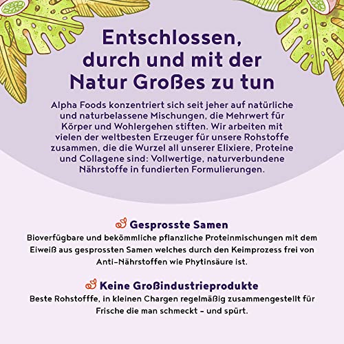 Vegan Protein - BLAUBEERE - Pflanzliches Proteinpulver aus Reis, Lupinen, Erbsen, Chia-Samen, Leinsamen, Amaranth, Sonnenblumen- und Kürbiskernen - 600 Gramm Pulver