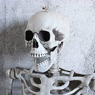 WKLIANGYUANPING Halloween Deko Halloween-Skelett mit beweglichen beweglichen Gelenken, Halloween-Dekoration Menschliches Skelett Modell Party-Prop-Friedhof Geisterhaus Dekor (Size : 170cm)