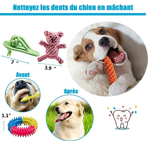 FONPOO Hundespielzeug, Hergestellt aus Natürlicher Baumwolle ungiftig und geruchlos Robust Besser für Zahnreinigung Geeignet für kleine Und Mittlere Hunde Hundespielzeug Set 10 PCS