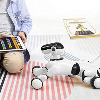 Tnfeeon Intelligente Roboter Hund Modell elektrische Kinder Spielzeug Multifunktions Smart Roboter mit Licht Bluetooth Lautsprecher pädagogische Entwicklung Spielzeug Geschenk für Kinder Kleinkind