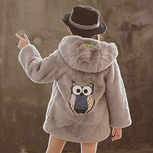 inhzoy Kinder Winter Teddy Jacke Mädchen Warme Fleecejacke mit Kapuze Cartoon Bär Kaninchen Hoodie Sweatshirt Pullover Winter Mantel Schneeanzüge Outwear Grau B 134-140