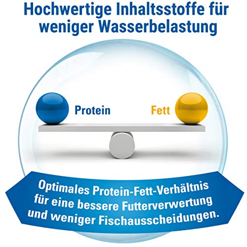 TetraMin Flakes - Fischfutter in Flockenform für alle Zierfische, ausgewogene Mischung für gesunde Fische und klares Wasser, 1 L Dose