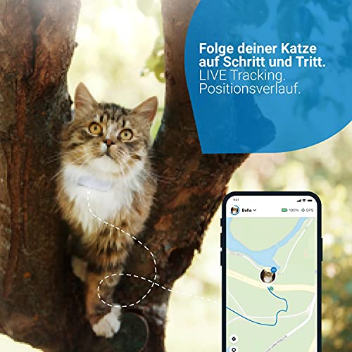 Tractive GPS Tracker für Katzen (2021) mit Halsband. 24h GPS-Ortung & 365 Tage Positionsverlauf. Folge deiner Katze überallhin.