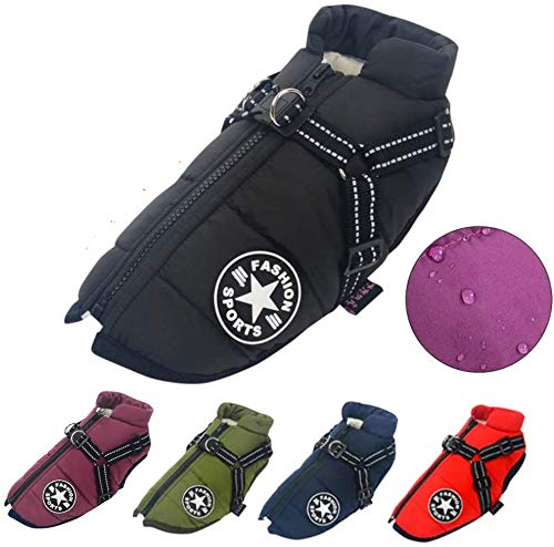 LUOWAN Hundemantel Wasserdicht, Hundemantel Französische Bulldogge, Warme Weste mit Hundegeschirr, Verschiedene Größen,Hundejacke für Kleine Hunde (L, Black)