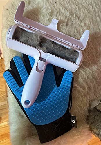 LÖWENKÖNIG® Taurus 2.0 - Bürstenhandschuh für Kurz-Langhaar Katzen I Haustier Bürste & Fellpflege-Handschuh Katze I Katzenhaare entfernen I Massage-Fellhandschuh in Universal-Größe I Katzen-Zubehör