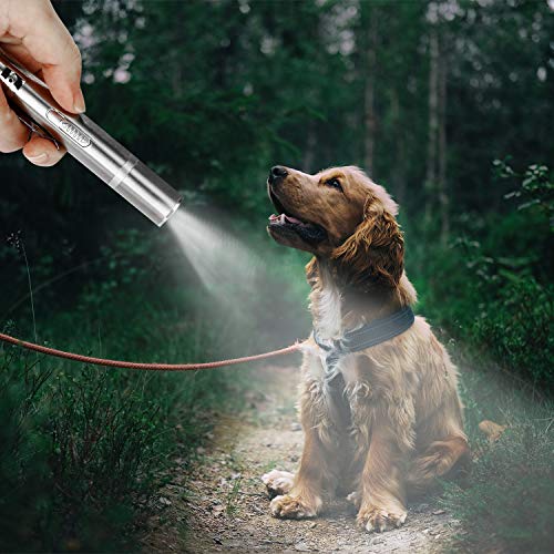 Toozey LED Pointer Katzen Hund Spielzeug Haustier LED Light Licht Pointer mit USB Wiederaufladbar, Bonus Zwei kleine Mäuse Spielzeug