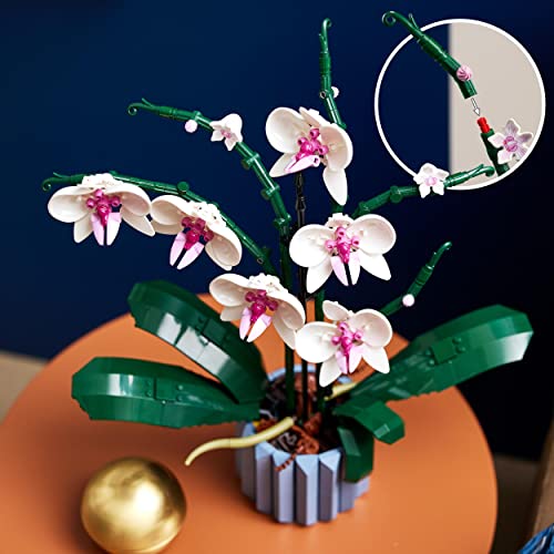 LEGO 10311 Icons Orchidee Set für Erwachsene zum Basteln von Zimmerdeko mit künstlichen Pflanzen, Botanical Collection Home Deko