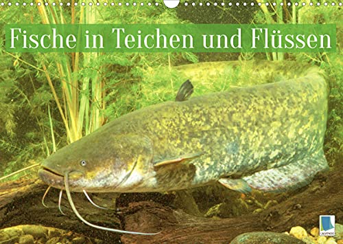 Fische in Teichen und Flüssen (Wandkalender 2022 DIN A3 quer)