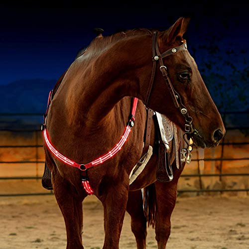 LED-Pferdegeschirr-Halsband – hohe Sichtbarkeit für Reiten, verstellbare Sicherheitsausrüstung – verstellbar, robust und bequem für Reitsport bei Nacht.