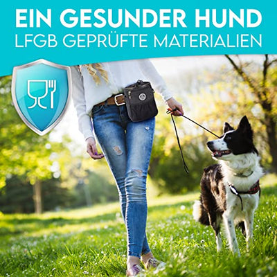 HUND IST KÖNIG® Premium Leckerlibeutel für Hunde - der Alleskönner - Robuster Futterbeutel Hunde mit viel Stauraum für das Gassigehen & Hundetraining - mit Kotbeutelspender & Trainings-Ebook