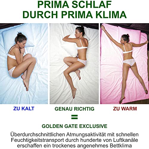 Golden Gate Boxspringbett 180x210 Luxus Bett Shera Gewebe Natur I Doppelbett mit Matratze und Bettkasten I Amerikanisches Bett King 7 Zonen Tonnentaschenfederkern Boxspring Schlafsysteme