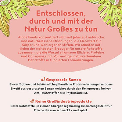 Vegan Protein - VANILLE KIPFERL - Pflanzliches Proteinpulver aus gesprossten Reis, Erbsen, Sojabohnen, Leinsamen, Amaranth, Sonnenblumen- und Kürbiskernen - 600g Pulver