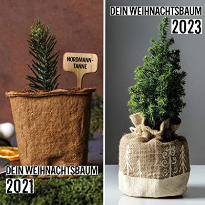 Weihnachtsbaum Anzucht Set I tolle Geschenk-Idee für Weihnachtsgeschenke, Wichtelgeschenke Weihnachten, Nikolausgeschenke und Garten Geschenke I Weihnachtsbaum aus der Dose I Pflanzset inkl. Zubehör