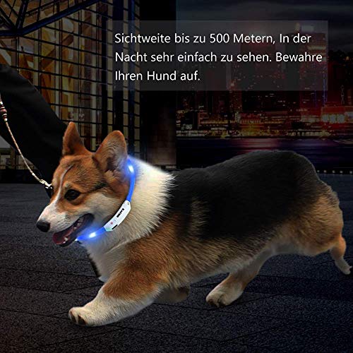 Zacro Leuchthalsband Hund 2 Stück Hundehalsband Leuchtend USB Wiederaufladbares und Längenverstellbareres Hunde Halsband mit DREI Beleuchtungsmodi für Hunde und Katzen