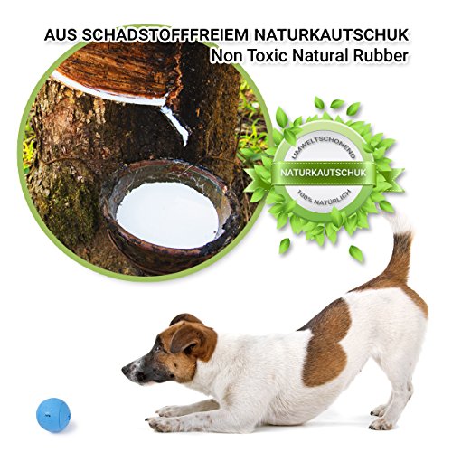 PetPäl Hundeball mit Zahnpflege-Funktion Noppen Hundespielzeug aus Naturkautschuk - Robuster Hunde Ball Ø 7cm - Hundespielball für Große & Kleine Hunde - Kauspielzeug aus Naturgummi für Leckerli