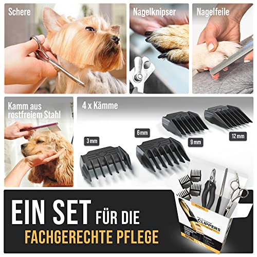 PetKing Leise Hundeschermaschine Schermaschine Hund Profi Tierhaarscheidemaschine für Hunde Haarschneidemaschine Katzen Haustier Elektrische Wiederaufladbare Schnurlosen Tierhaarschneider Dog Clippers