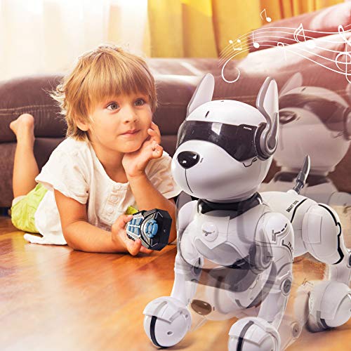 Top Race Ferngesteuertes Roboterhund mit Licht und Sound, Interaktives Hundespielzeug, Ferngesteuerter Welpen Roboter tanzt intelligent zum Beat, elektronisches Haustier für Kinder von 3,4,5,6,7,8,9