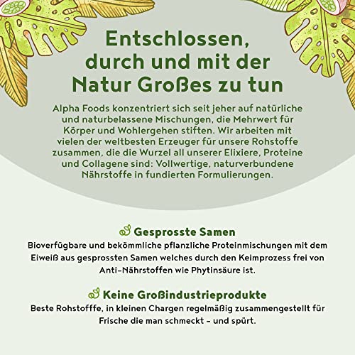 Vegan Protein - HASELNUSS - Pflanzliches Proteinpulver aus gesprossten Reis, Erbsen, Sojabohnen, Leinsamen, Amaranth, Sonnenblumen- und Kürbiskernen - 600g Pulver