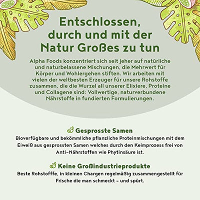 Vegan Protein - HASELNUSS - Pflanzliches Proteinpulver aus gesprossten Reis, Erbsen, Sojabohnen, Leinsamen, Amaranth, Sonnenblumen- und Kürbiskernen - 600g Pulver