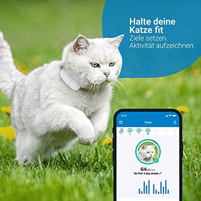 Tractive GPS Tracker für Katzen (2021) mit Halsband. 24h GPS-Ortung & 365 Tage Positionsverlauf. Folge deiner Katze überallhin.