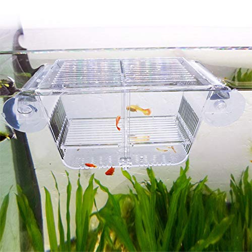 capetsma Fischzuchtkasten, Acryl-Fisch-Isolationsbox mit Saugnäpfen, Aquarium-Acclimation Hatchery Inkubator für Babyfische, Garnelen, Clownfische und Guppy... Kleine Größe (S)