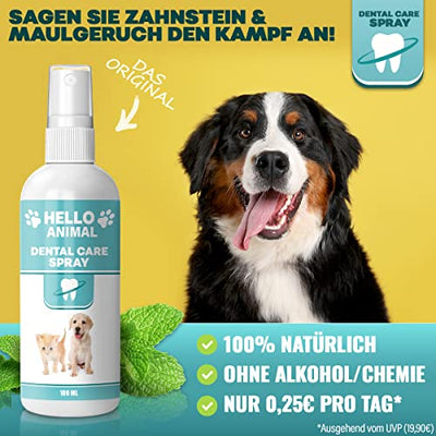 NEU: HelloAnimal® DENTAL Spray für Hunde und Katzen – Zahnsteinentferner auch für Zwischenräume - Zahnreinigung und Zahnpflege – Dentalspray für Mundgeruch