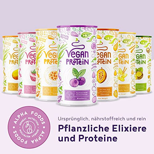 Vegan Protein - BLAUBEERE - Pflanzliches Proteinpulver aus Reis, Lupinen, Erbsen, Chia-Samen, Leinsamen, Amaranth, Sonnenblumen- und Kürbiskernen - 600 Gramm Pulver