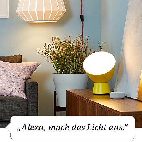 Amazon Smart Plug (WLAN-Steckdose), funktioniert mit Alexa, Gerät "Zertifiziert für Menschen"