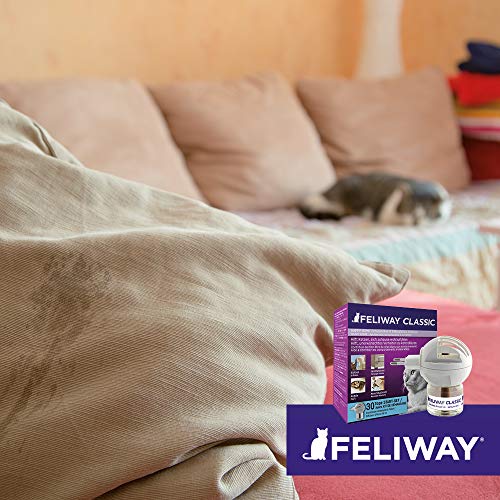 FELIWAY® Classic Start-Set | Entspannung für Katzen | Verdampfer für Steckdose & Flakon 48ml