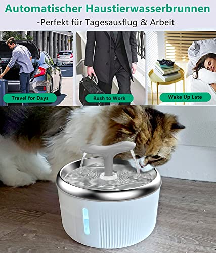 PewinGo Katzen Trinkbrunnen Edelstahl, Trinkbrunnen für Hunde Haustier Katzenbrunne rutschfest Automatisch Katze Wasserspender mit LED Nachtlicht, 4 Spielzeug and 1 Aktivkohlefilter - 2L