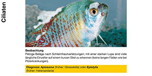 sera costapur F 50 ml - Arzneimittel für Fische gegen Ichthyophthirius multifiliis und andere einzellige Hautparasiten, Medizin fürs Aquarium