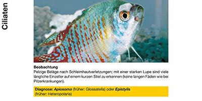 sera costapur F 50 ml - Arzneimittel für Fische gegen Ichthyophthirius multifiliis und andere einzellige Hautparasiten, Medizin fürs Aquarium