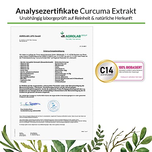 Curcuma Extrakt Kapseln (90 Kapseln) - Curcumingehalt EINER Kapsel entspricht dem von ca. 10.000mg Kurkuma - Hochdosiert aus 95% Extrakt - Laborgeprüft