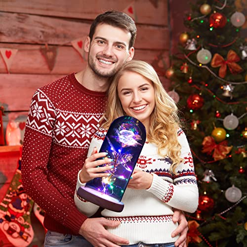 QUNPON Geschenke für Frauen Ewige Rose im Glas Die Schöne und das Biest Rose in Glaskuppel mit LED-Lichter Künstliche Blumen Rose Geschenke für Weihnachten Geburtstag Mama Freundin Oma