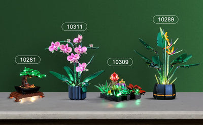 LIGHTAILING Licht-Set Für (Creator Expert Bonsai Tree) Modell - LED Licht-Set Kompatibel Mit Lego 10281(Modell Nicht Enthalten)