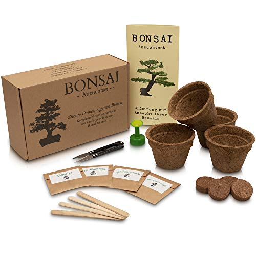 ANISTA - Bonsai Anzuchtset - Züchte Deine eigenen Bonsaibäume. 4 Sorten Bonsai Samen in unserem kompletten Pflanzset. Schöne Geschenkidee zu Allen Anlässen.