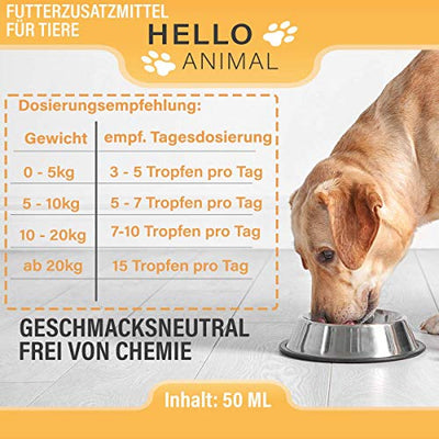 NEU: HelloAnimal® Wurm Liquid vegan für Tiere wie Hunde, Katzen, Kaninchen, & Geflügel - natürliches Mittel aus Kräutern für Magen und Darm bei WURMBEFALL - 50 ML