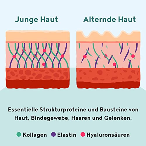 Strukturprotein - Collagen mit Marine Elastin, Hyaluronsäure, Keratin und Silicea - Kollagen Hydrolysat Peptide Type I, II, III & IV - Geschmacksneutral - 450g Collagen Pulver