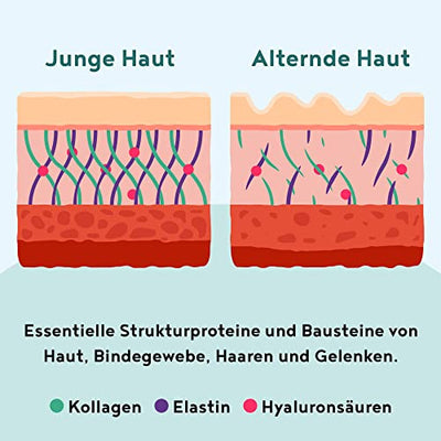 Strukturprotein - Collagen mit Marine Elastin, Hyaluronsäure, Keratin und Silicea - Kollagen Hydrolysat Peptide Type I, II, III & IV - Geschmacksneutral - 450g Collagen Pulver