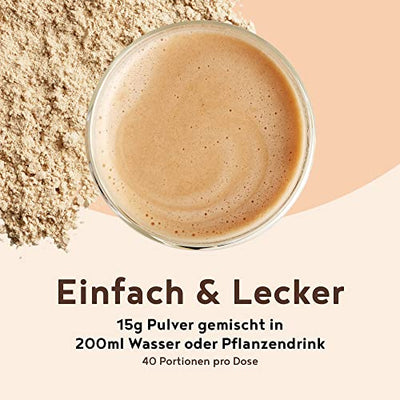 Vegan Protein - PUMPKIN SPICE - Pflanzliches Proteinpulver aus gesprossten Reis, Erbsen, Sojabohnen, Leinsamen, Amaranth, Sonnenblumen- und Kürbiskernen - 600g Pulver