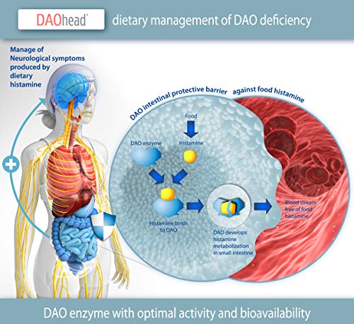 DAOhead - Nahrungsergänzungsmittel - DAO-Mangel - Histamin-Intoleranz - 60 effiziente und leicht verdaubare magensaftresistente Kapseln - Verdauungsenzyme