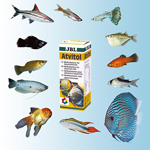 JBL Atvitol Multivitamin für Aquarienfische, Tropfen 50 ml, 20300